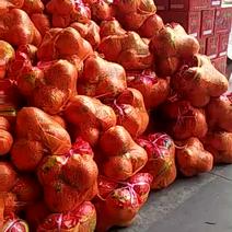 红心柚2.5斤以上