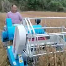 供应梯田水稻收割机20马力座驾式水田水稻收割机型号图片
