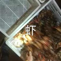 青虾