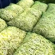 寒地黑土绥化特产黄豆角常年大量供应6~8厘米