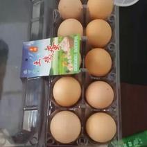 土鸡蛋批发，放养土鸡蛋