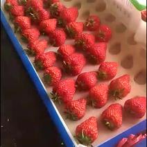 客户反馈咋家的丹东东港久久牛奶草莓和牛奶409小柿子