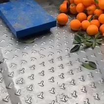 泸州市古蔺县马蹄碰柑，纽荷尔脐橙自家果园，代办