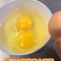 厦门土鸡蛋，放养土鸡蛋，鸡蛋批发（3.15号价格）量大