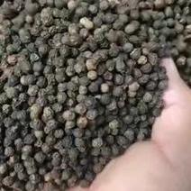 越南🇻🇳黑胡椒批发零售