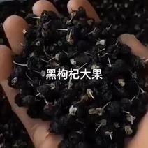 优质黑枸杞大量供应全国发货-38元/斤