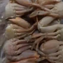石甲蟹花盖蟹赤甲红鲜活去盖冷冻切蟹蟹块海鲜自助烧烤