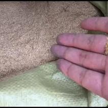 谷糠饲料糠（筛糠0.8—1.8）黄米