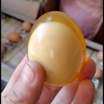 河南变蛋鸡蛋变蛋无铅工艺制作