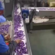 【俄罗斯风味】国产紫皮糖花生巧克力糖网红零食地摊小吃