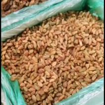 红枣市场新疆葡萄干量大活跃。