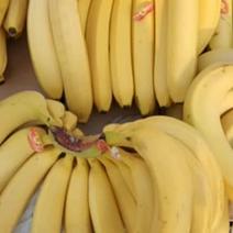 香蕉很好啊荡香蕉28元一箱纯三把净重18斤