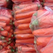三胡萝卜，大量下来，十八斤，二十斤都有，各种包装