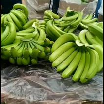 香蕉米蕉欢迎各位老板们