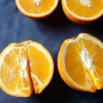 峰岩甜橙，清纯可口，优质品种