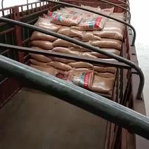 常年供应玉米小麦面粉