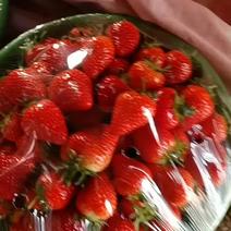 枣红草莓