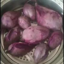 小花叶紫薯