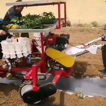 自走式秧苗移栽机，种植机，辣椒移栽机，种植机，多功能移栽