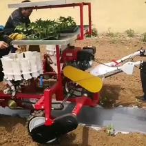 自走式秧苗移栽机，种植机，多功能移栽机，种植机。