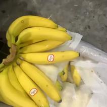 菲律宾精品香蕉