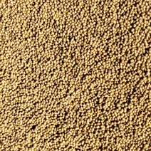 出售安徽豆，正压比重筛选，水分13蛋白44.价格