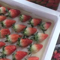 专业水果代购代销，甜宝草莓糖分高，果型正，耐运输