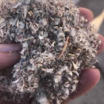 棉渣，平菇，草菇种植原材料江苏地区食用菌种植
