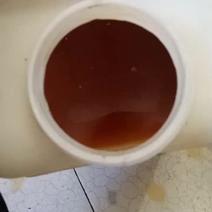 乳源纯野生山茶籽油