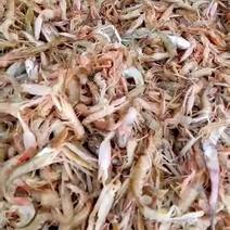 滨州市沾化区海陆丰水产品有限公司厂家发货渤海夹虾，