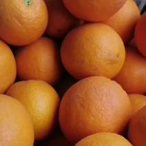 纽荷尔脐橙（产地直发）货源充足！质量包装提前私信