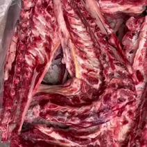 多肉羊蝎子50斤起售量大从优质量保障诚信为本视频看货
