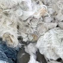 精品山羊毛，新疆伊犁大量出售