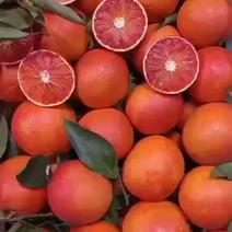 重庆玫瑰香橙塔罗科血橙，大量上市果面干净，口感好，个头大