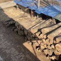 常年需要杨木根结净材通货常年大量需要