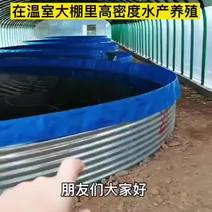 现代化镀锌板养殖桶，养殖池养殖黑鱼亩产万斤