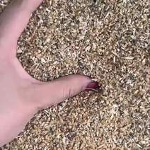 碎玉米碎小麦饲料原料鸡鸭鹅牛羊猪养殖可低成本