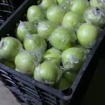 王林苹果河北王林精品膜袋王林纸袋王林精品特级王林通货