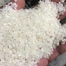 低价出售2018年珍珠米质量好价格便宜