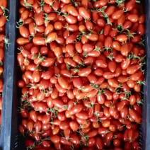 丹东草莓和409小柿子
