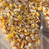碎玉米，质量保证，成分保证