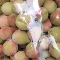 桃子，花莲桃，是我们贵州本地的特色品种。口感酥脆香甜。