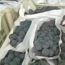 夏黑葡萄大量上市，产地直供，颗粒大，口感好！