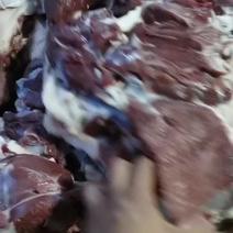 鲜羊肉冻羊肉大量有货纯干不注水不调理