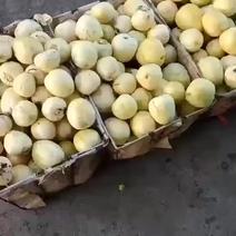绥化当地香瓜