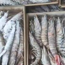 船冻竹节虾，九节虾，半节虾，码头一手货源，现在有大货一斤