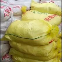 桂平市社坡镇大量干豆腐渣出售