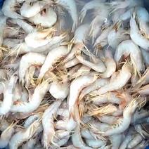 海虾，海白虾，黄虾，明虾，麻虾，硬壳虾，红虾，火虾，九虾
