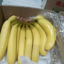 特价香蕉15元一箱
