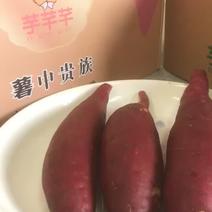 日本红瑶红薯